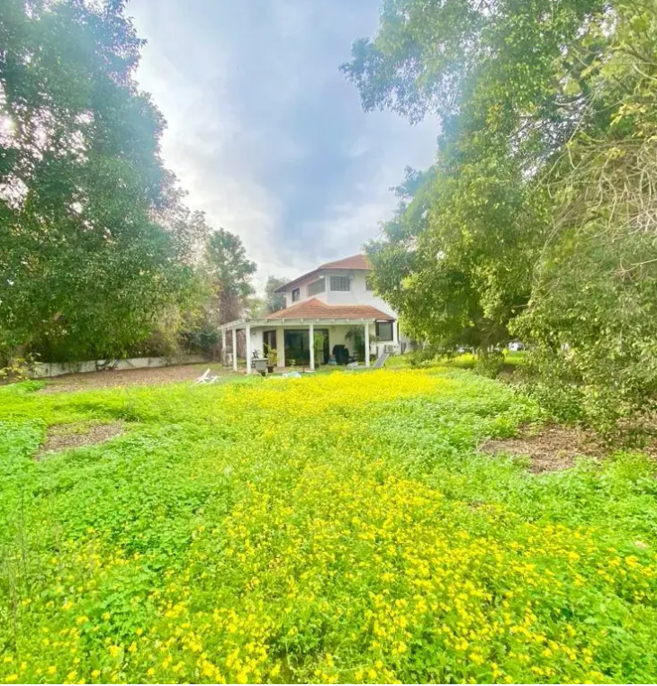 RealEstateIsrael